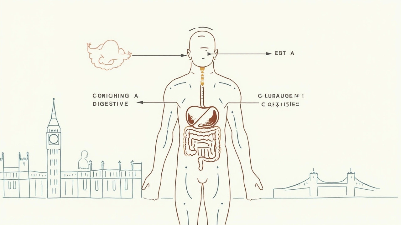 The Science Behind Ash Supplements